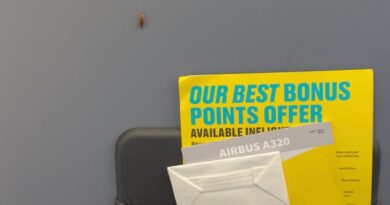 Woman vows never to fly a certain airline again after discovering roaches on a flight
